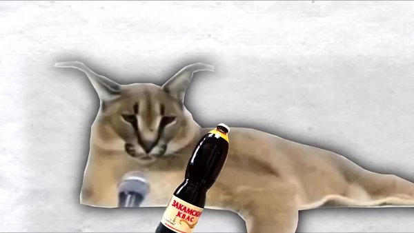 Большой шлёпа русский кот с пистолетом