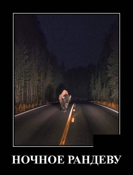 Ночное Рандеву демотиваторы