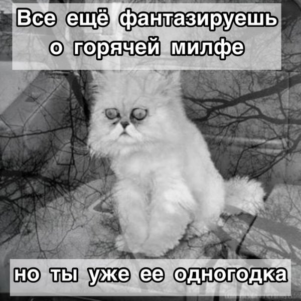 Фото жизнь боль