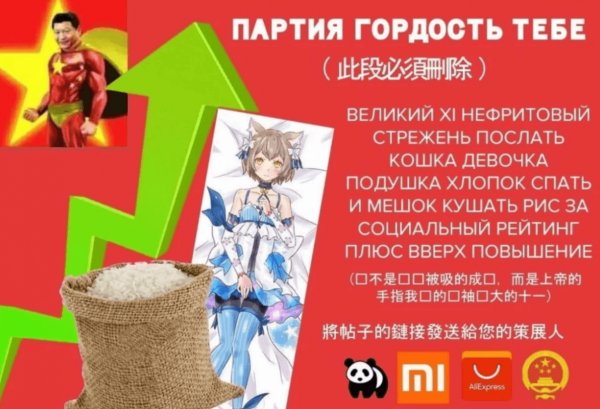 Китайская партия Мем