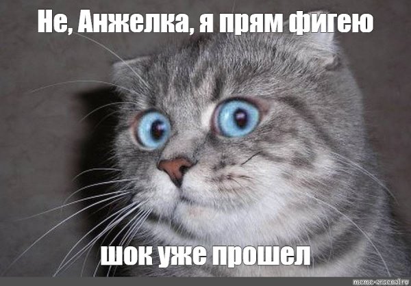 Я В шоке Мем