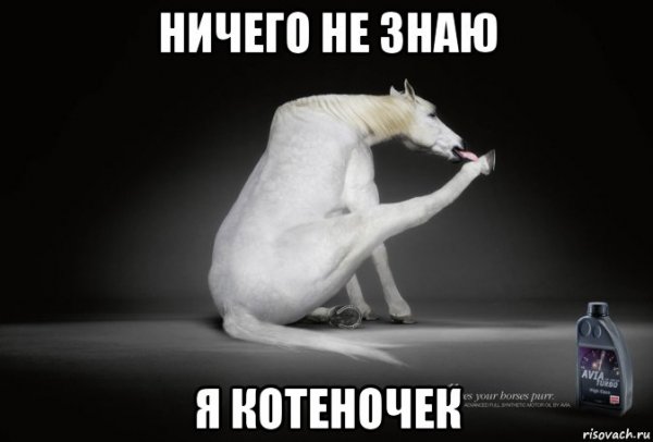Ничего не знаю картинка