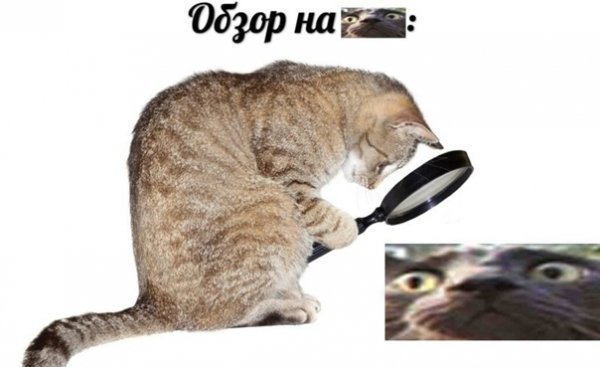 Про котов по ржать