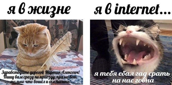 Про котов по ржать