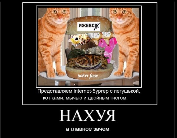 Про котов по ржать