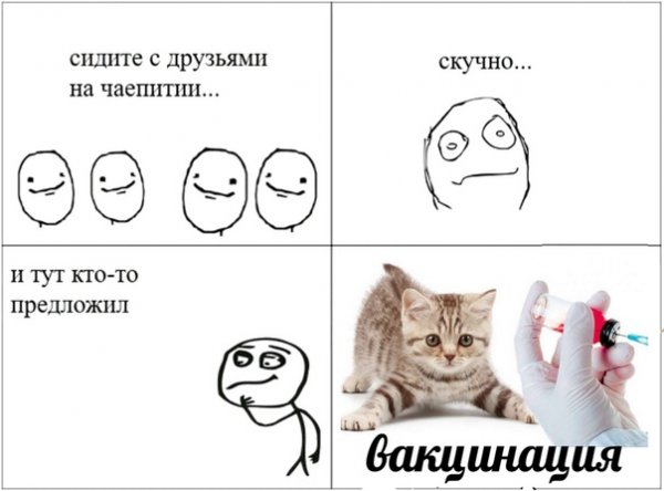 Про котов по ржать