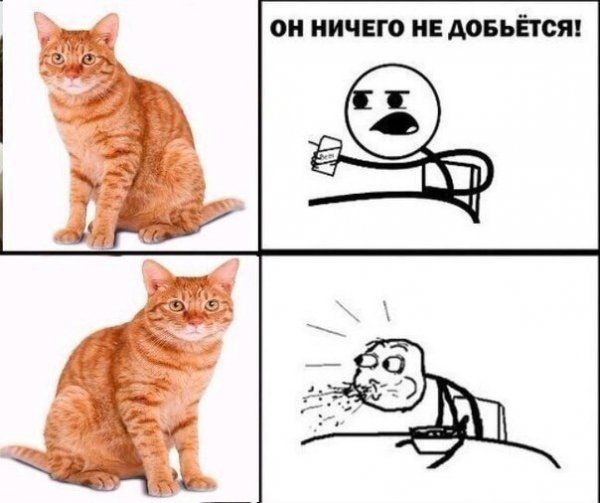 Мемы он ничего не добьется