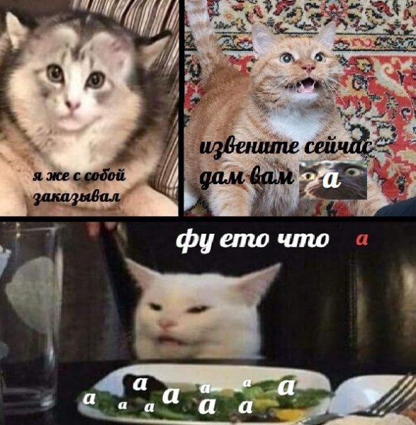 Про котов по ржать