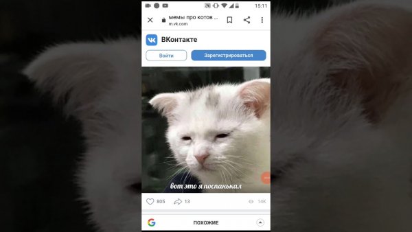 Про котов по ржать