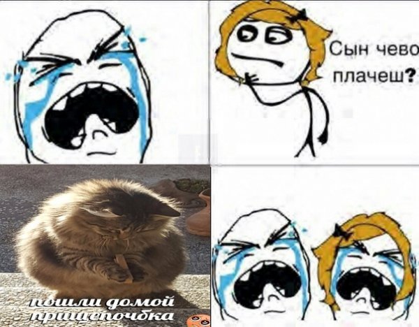 Мемы про грустных котиков