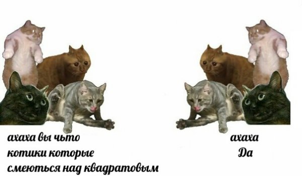 Про котов по ржать