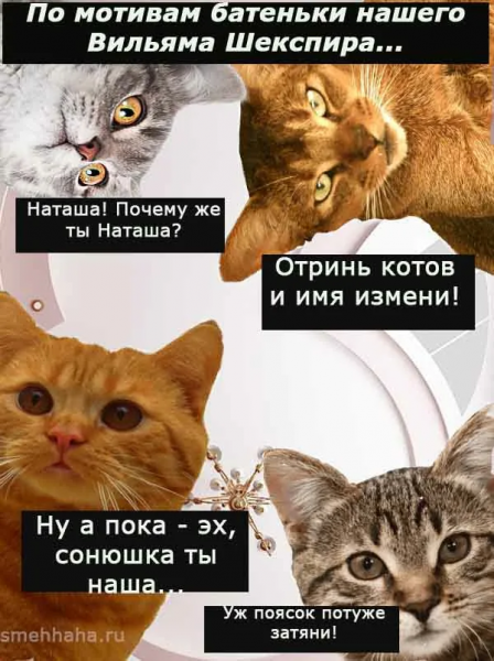 Я тебя люблю Мем с котом