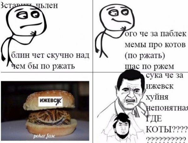 Котенок смеются Мем