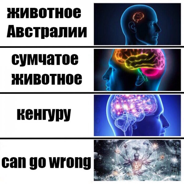 Мозг Мем