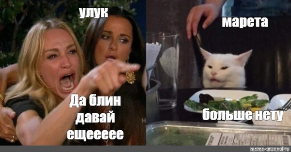 Две девушки орут на кота