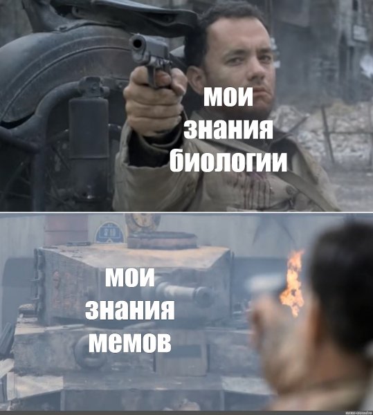 Танкуем Мем Инста