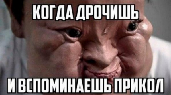 Шутки про деградацию
