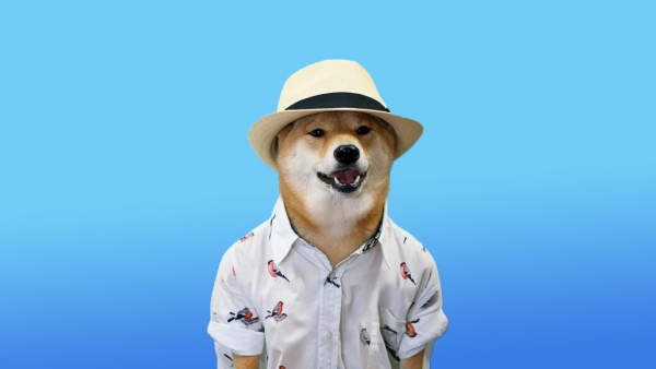 Doge на рабочий стол
