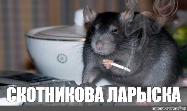 Самокритично Мем с крысой