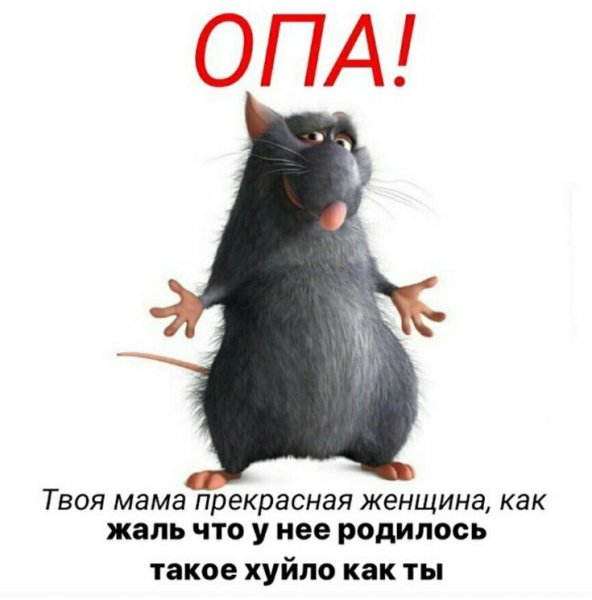 Ля ты крыса