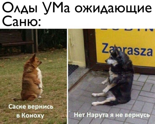 Саске Вернись