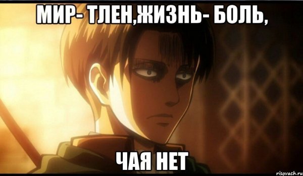 Аниме мемы атака титанов Леви