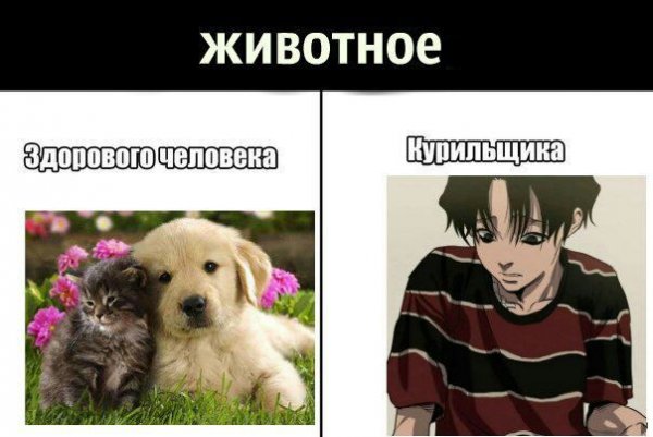 Убить сталкера Мем