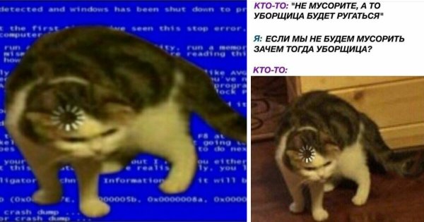 Кот загрузка
