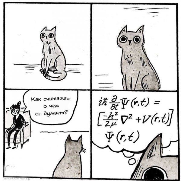 Кот в раздумьях
