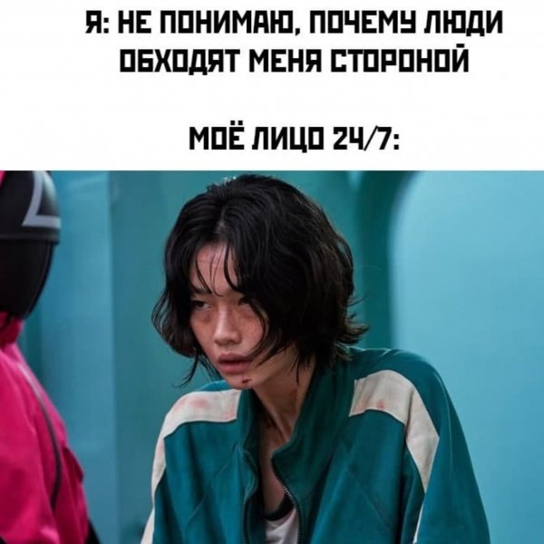 Кот непонел