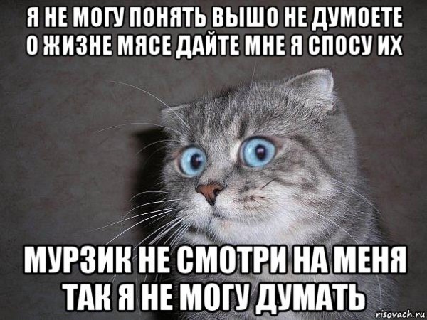 Мем с котиком задумайтесь