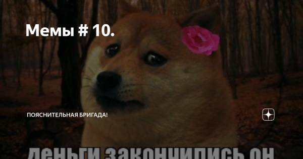 Мемы про пояснительную бригаду