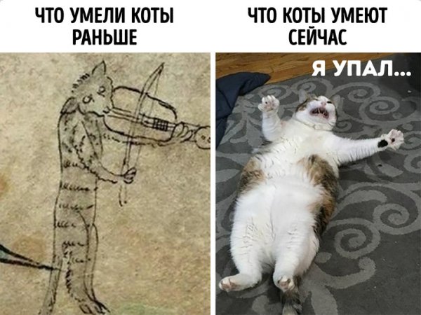 Я упал
