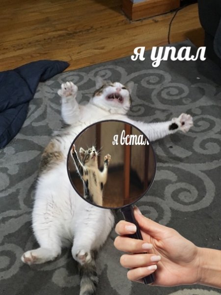 Я упал Мем