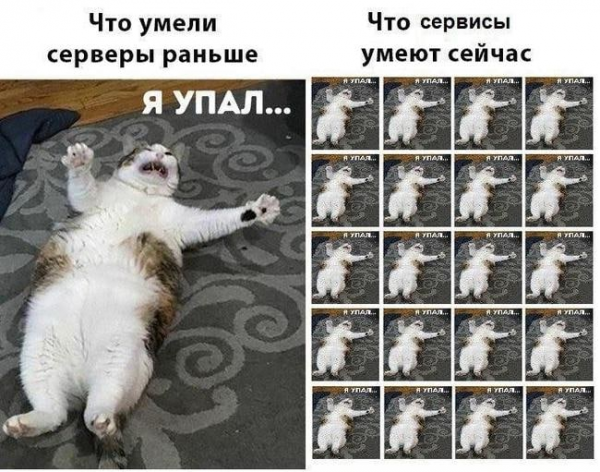Я упал Мем с котом