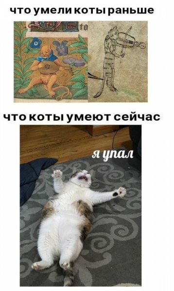 Что умели коты раньше