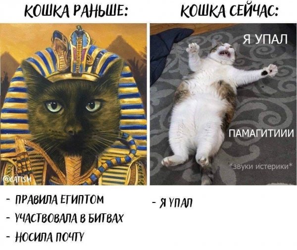 Я упал Мем