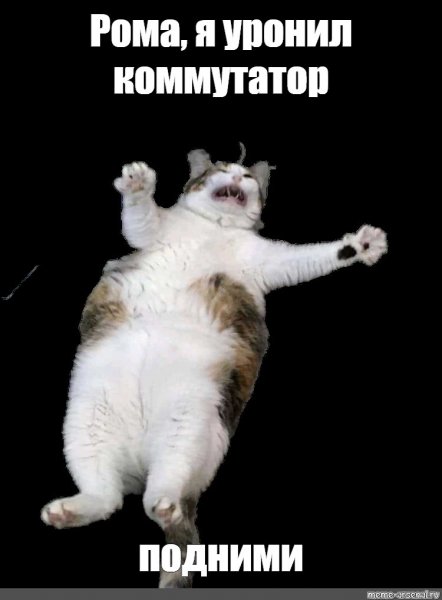 Я упал Мем с котом