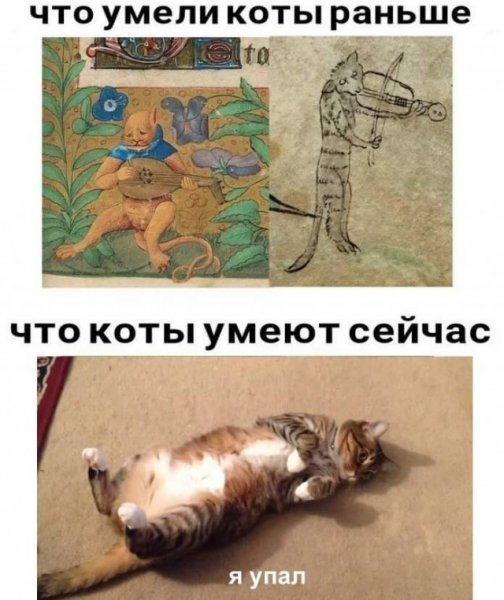 Коты раньше коты сейчас