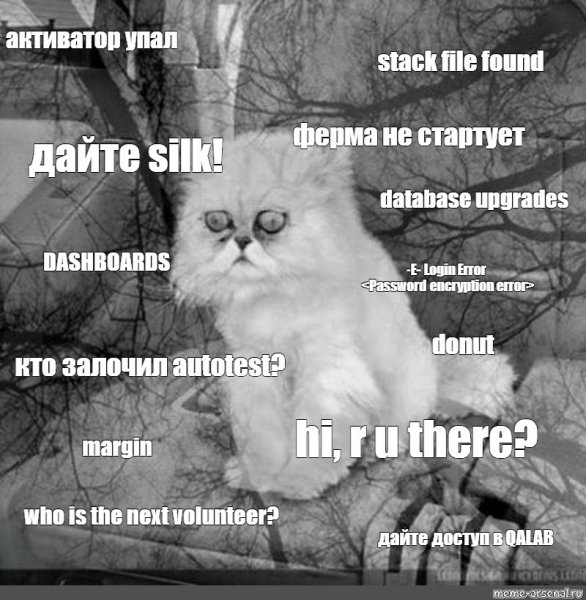Я упал Мем с котом