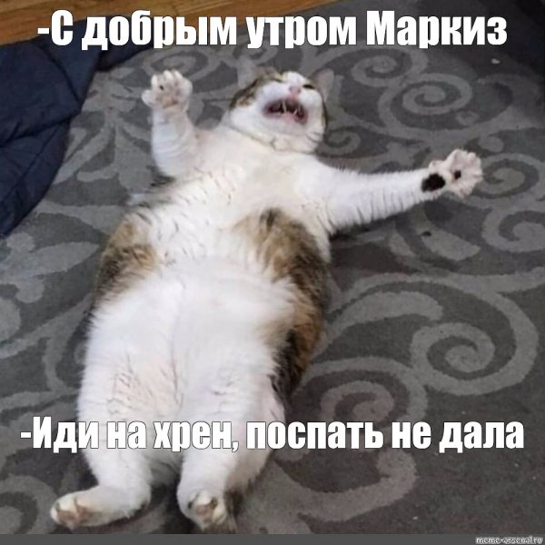 Я упал это не Мем помогите