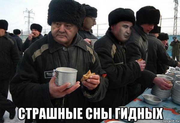 Хозяин меня кормит