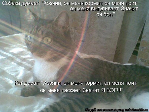 Стас аскет Пропащинск