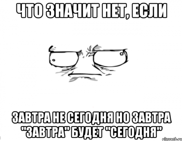 О чем думают собаки