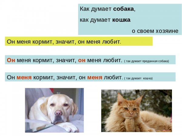 Мысли животных