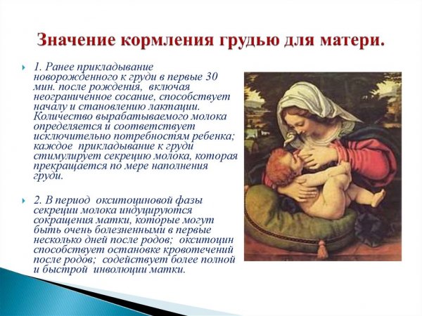 Когда поссорился с котом