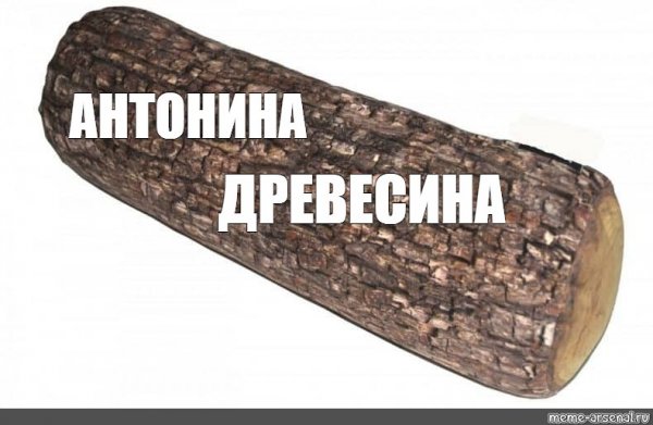 Бревно Мем