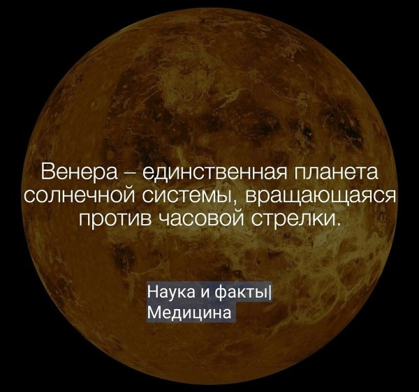 Цитаты про Венеру