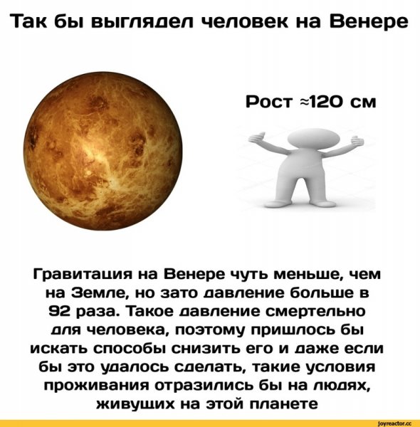 Сила притяжения на Венере