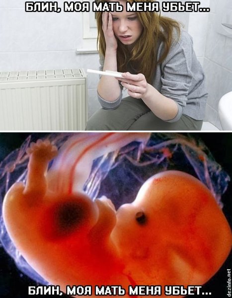 Мемы про беременность